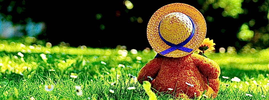 Children's Chores Here is how you can motivate your kid to do chores at home