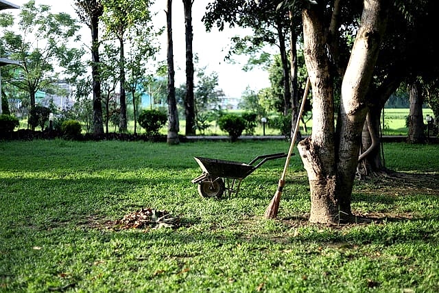 overgrown garden put to shape