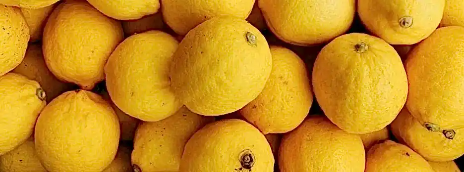 Juicy lemons Juicy lemons